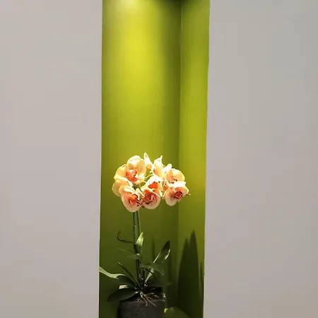 Lägenhet Vomero Experience